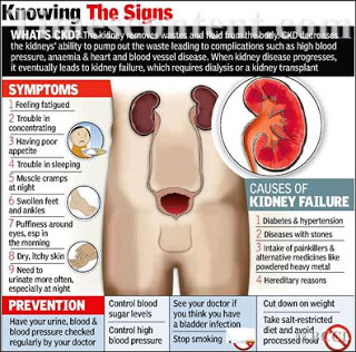 KNOWING THE SIGNS OF CHRONIC KIDNEY DISEASE