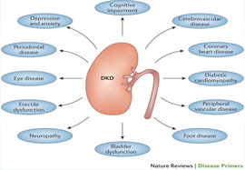 Depression in Patients with Chronic Kidney Disease
